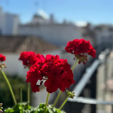 דירה Encantadora Casa En El Corazon De אסטפונה